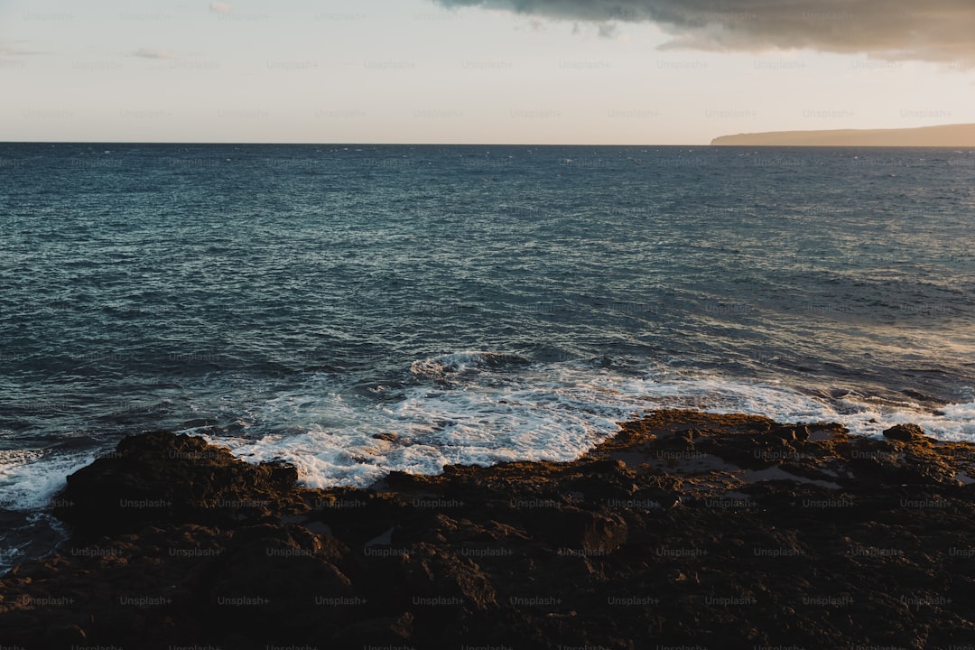 Ayvalık Soğuk Sıkım Yağının Coğrafi Öyküsü - Ayvalık coast