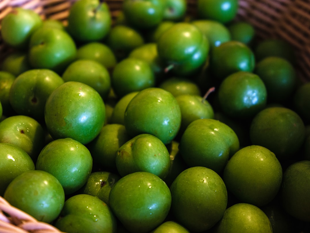 Ayvalık Zeytinyağının Soğuk Sıkım Yolculuğu - olive press