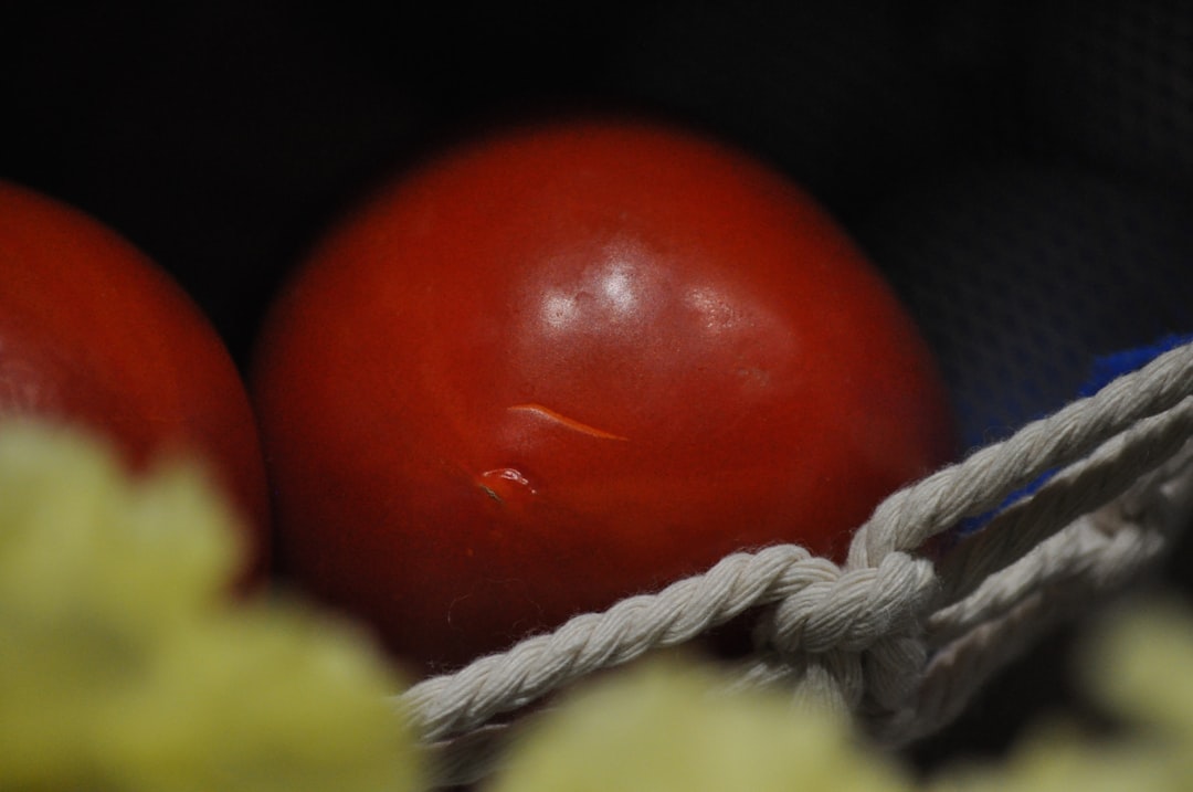 Ayvalık'ta Üretilen Ege İşaretli Yağların Özellikleri - Ayvalık zeytin tarlası