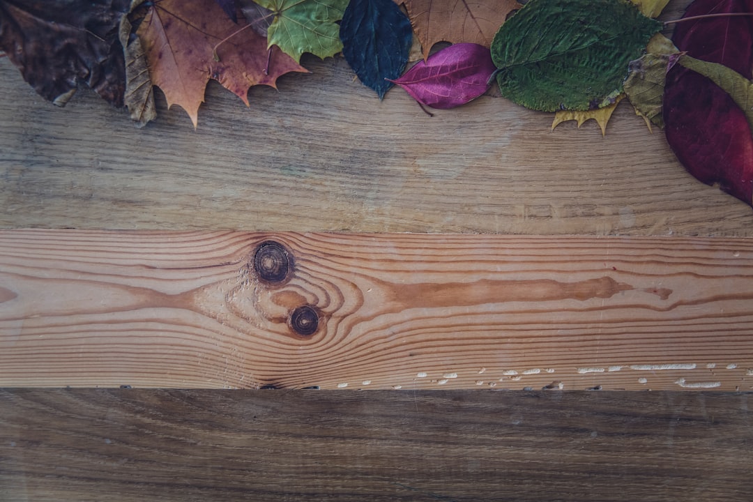 Baharatlı Yağ Kullanımıyla Akşam Yemeğini Öne Çıkarın - rosemary and garlic on a wooden board