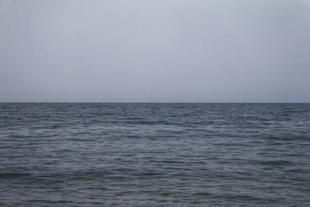 Coğrafi İşaretli Yağların Ekonomik Değeri - Havran coast