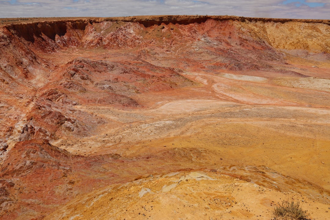 Coğrafi İşaretli Yağların Milas Yüzeyinde İzleri