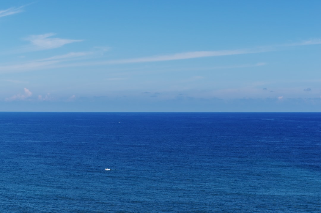 Denizli'nin Yamalak Sarısı Yağı Coğrafi İşaretle Tanıtma Rehberi - denizli deniz kıyısı