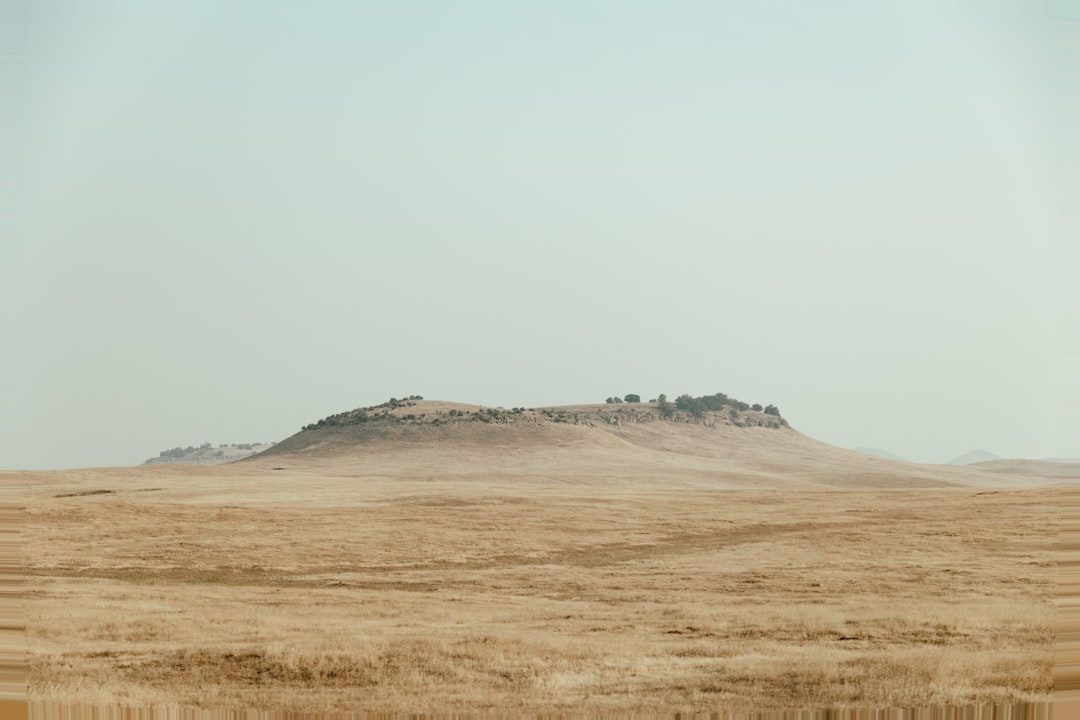 Edremit Yağları Sağlıklı Yaşamın Gizli Bileşeni - Ege sahil manzarası