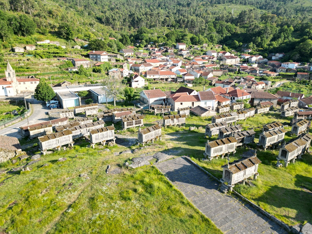 Ege Coğrafi İşaretli Yağların En İyi Satış Stratejisi - milas village