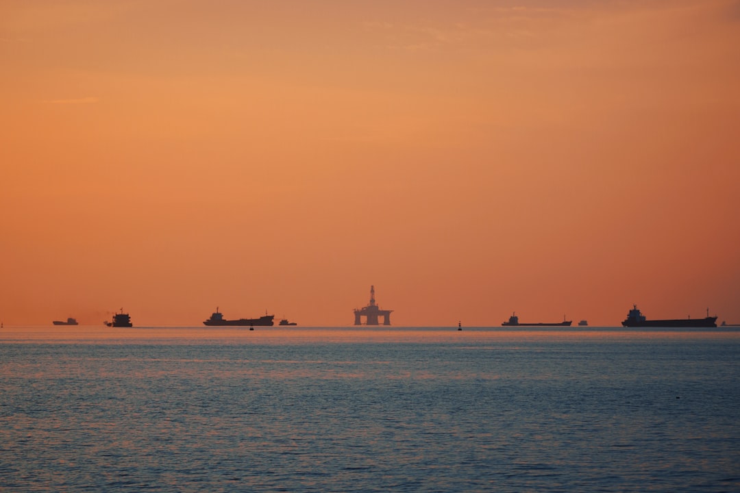 Ege'nin Coğrafi İşaretli Yağları Yamalak Sarısı Nasıl Üretilir