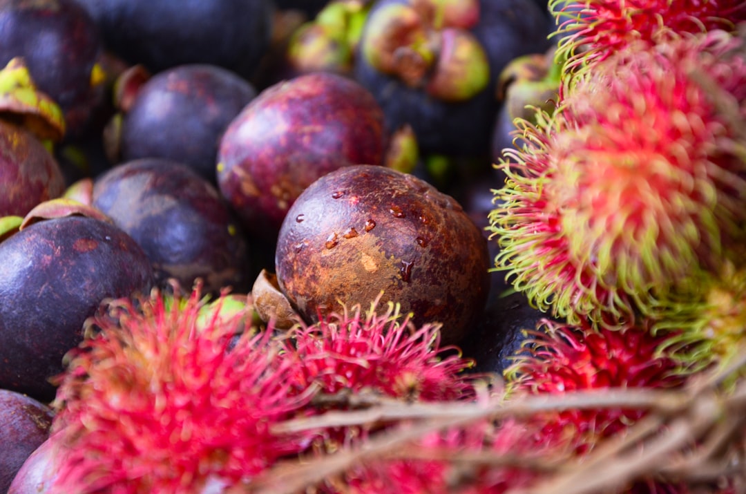 Erken Hasat Sızma Zeytinyağında Organik Sertifikanın Önemi