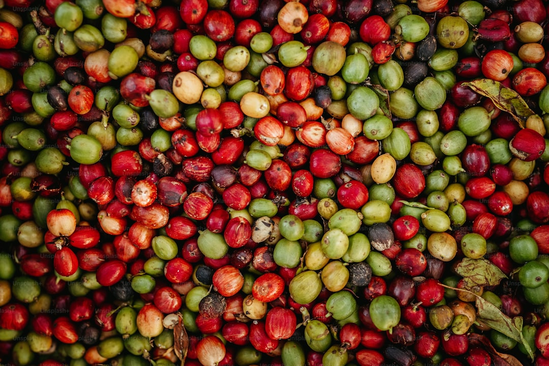 Erken Hasat Zeytinyağının Eşsiz Aroması