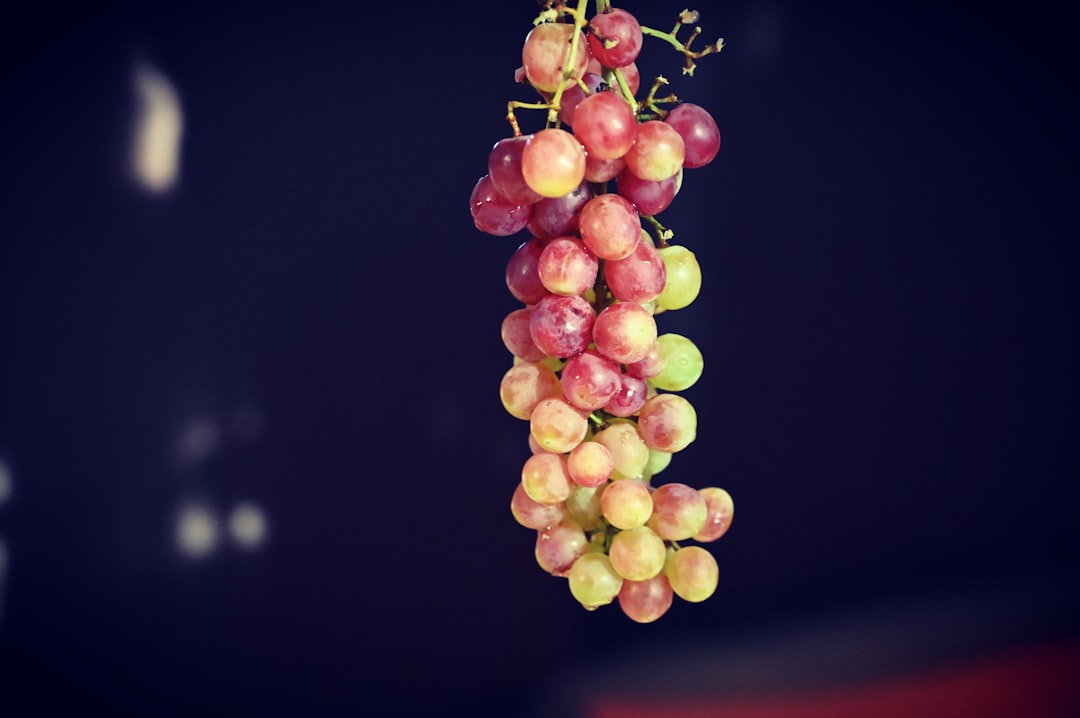 Gurme Yağların Şarap Çekirdeklerine Uygunluk Analizi - wine seed