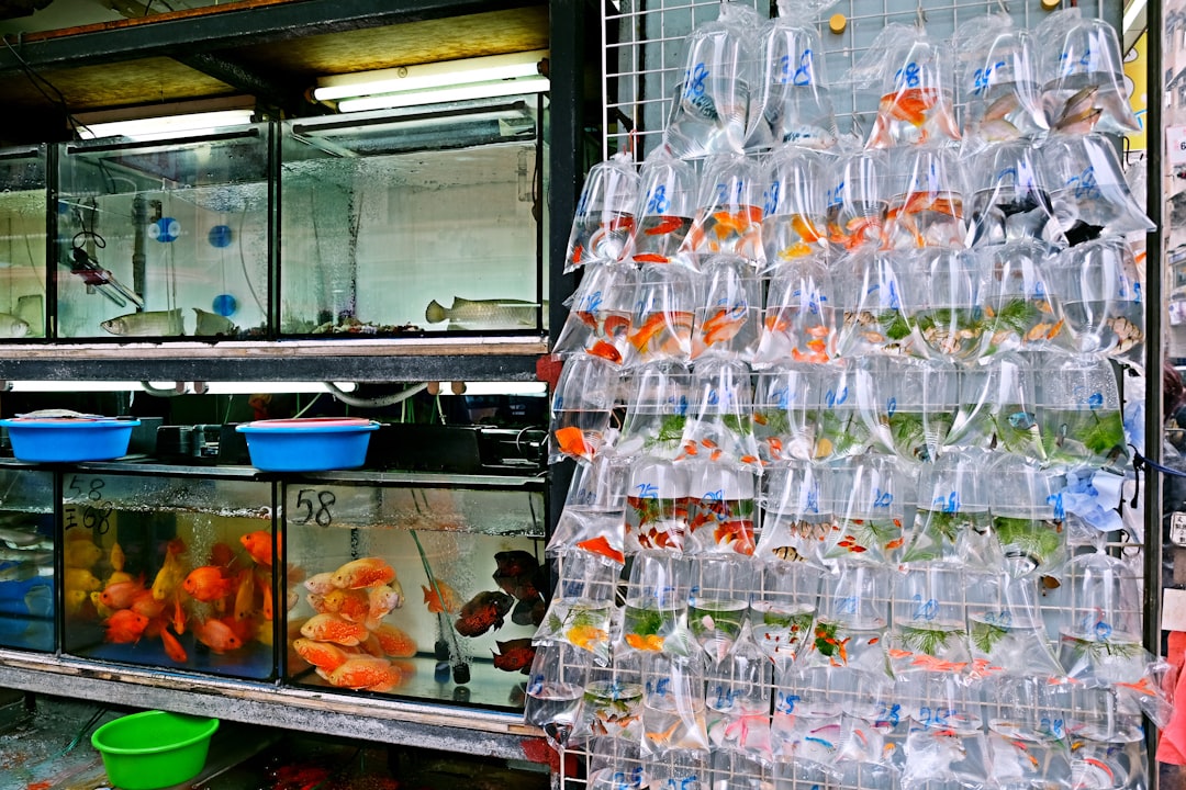 Hafif Tatın Doğal Keşfi Naturel Birinci