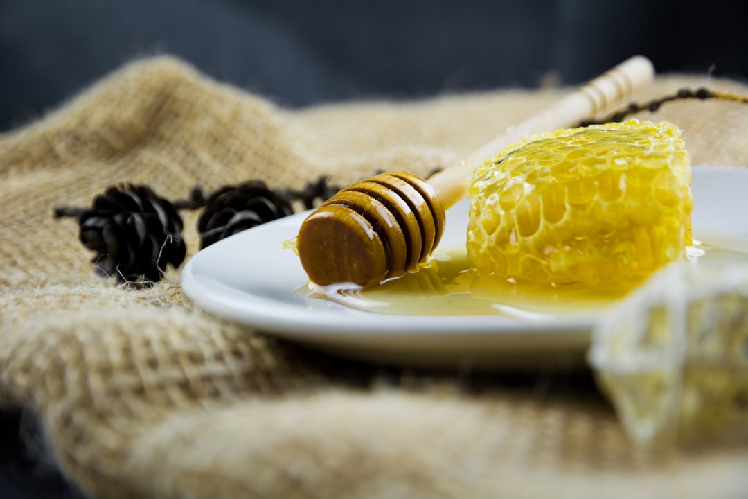 Meyvemsi Yoğun Zeytinyağı, Erken Hasatın Lezzet Defteri - olive oil cooking