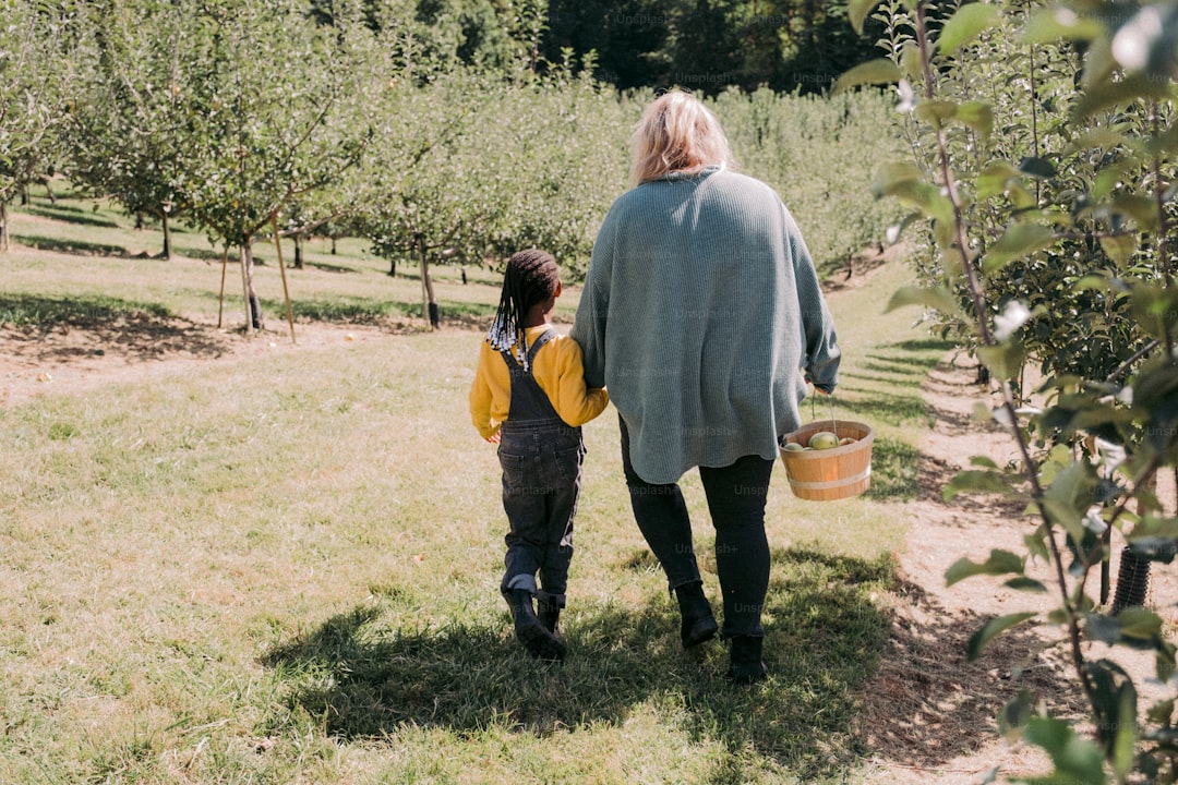 Naturel Birinci ile Riviera: Hafif Lezzetin Yolculuğu - olive orchard