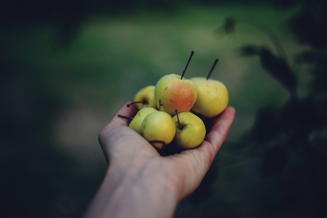 Naturel Birinci Riviera Yağları Seçim Rehberi - zeytinyağı ile sebze