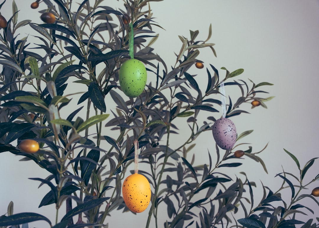 Riviera Zeytinyağı ve Diyet Nasıl Kullanılır - olive tree