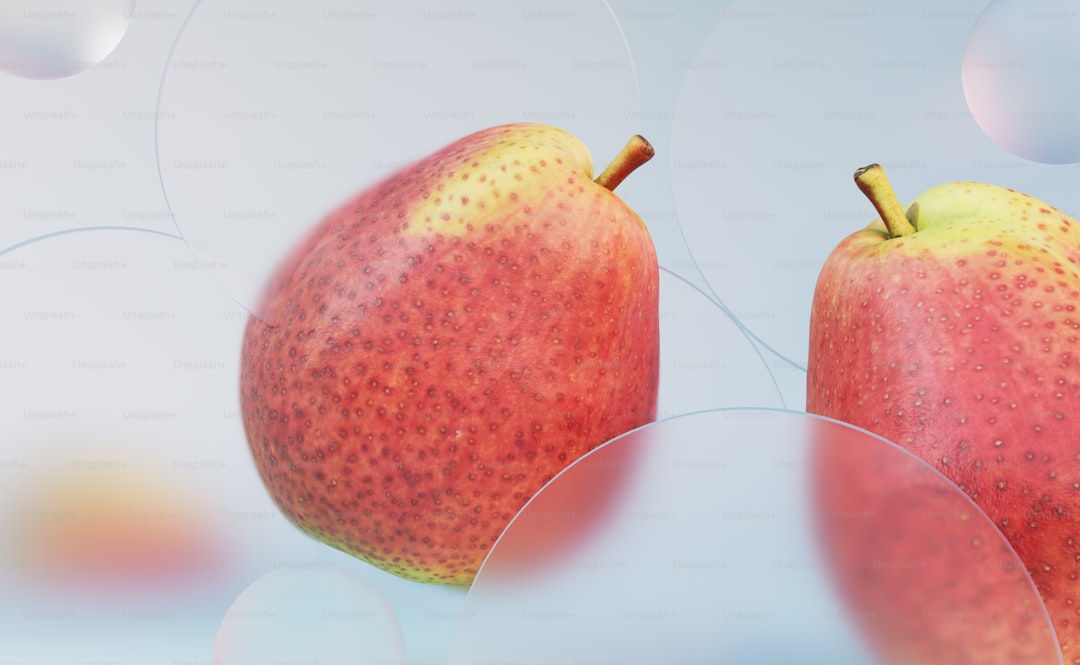 Sızma Zeytinyağı Üretiminde Erken Hasat Stratejileri - single orchard