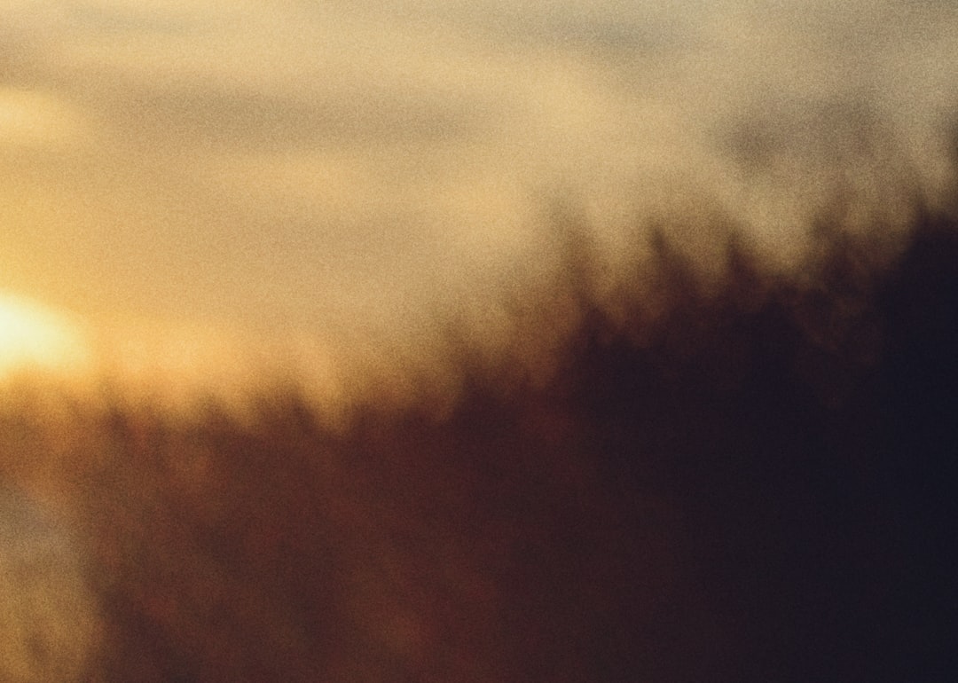 Soğuk Sıkım Erken Hasat Zeytinyağının Sağlık Faydaları - zeytin üretimi