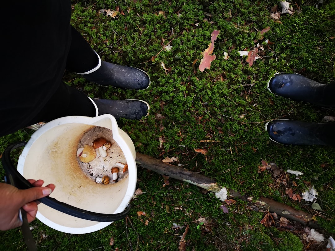 Taş Baskı Soğuk Sıkımın Lezzet Üzerindeki Etkisi