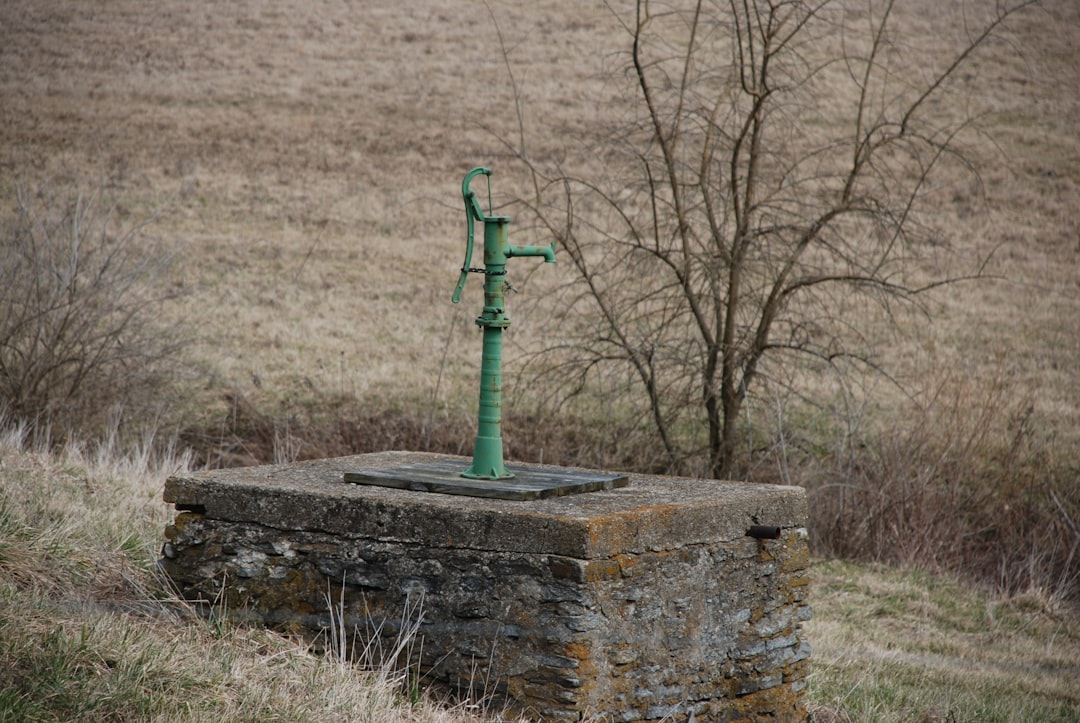 Taş Baskıyla Geleneksel Ege Yağları - stone press