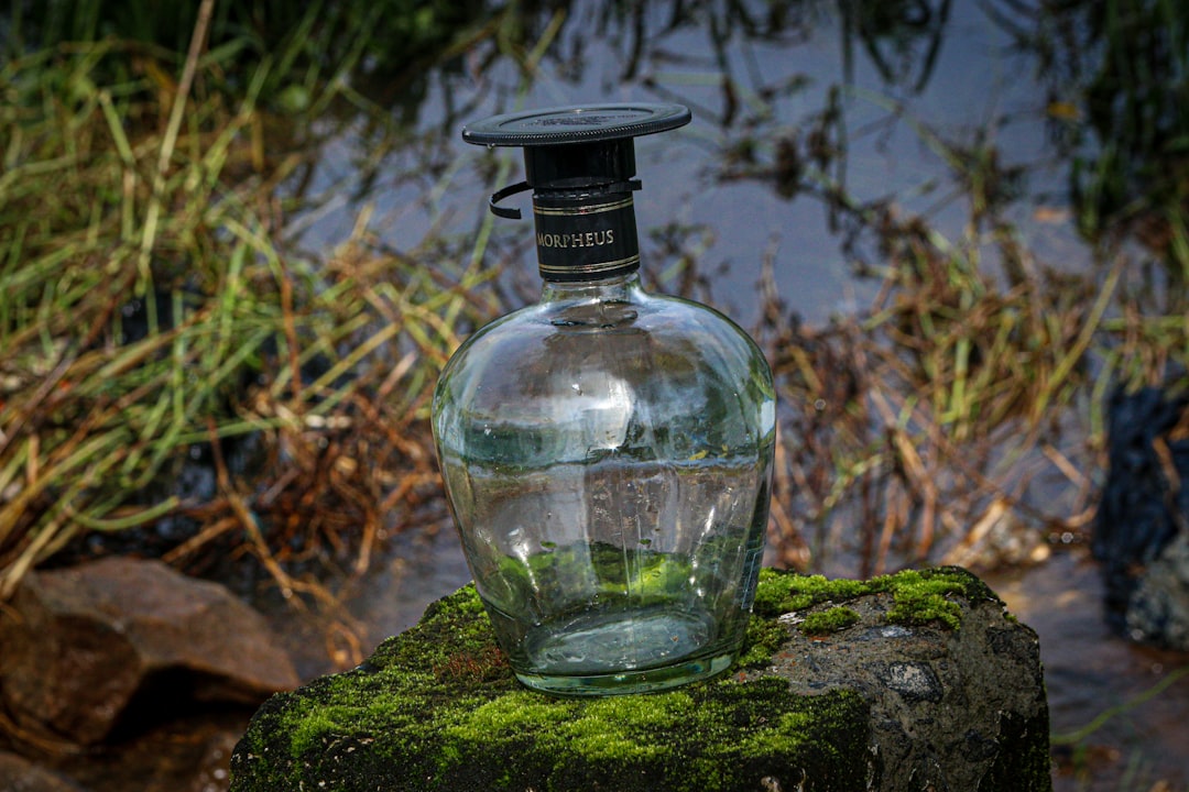 Taze Armutlu Erken Hasat Zeytinyağı Çeşitleri - olive oil bottle