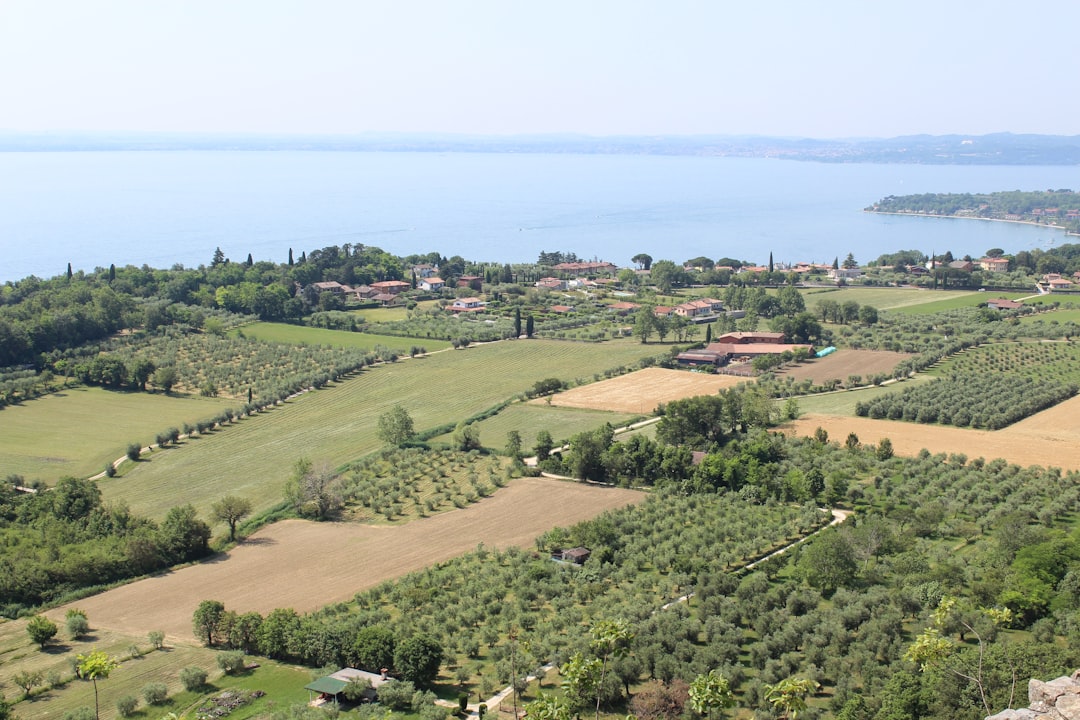 Tesislerde Taze Zeytinyağı Kullanımı Naturel Birinci Yöntemi - olive oil production line