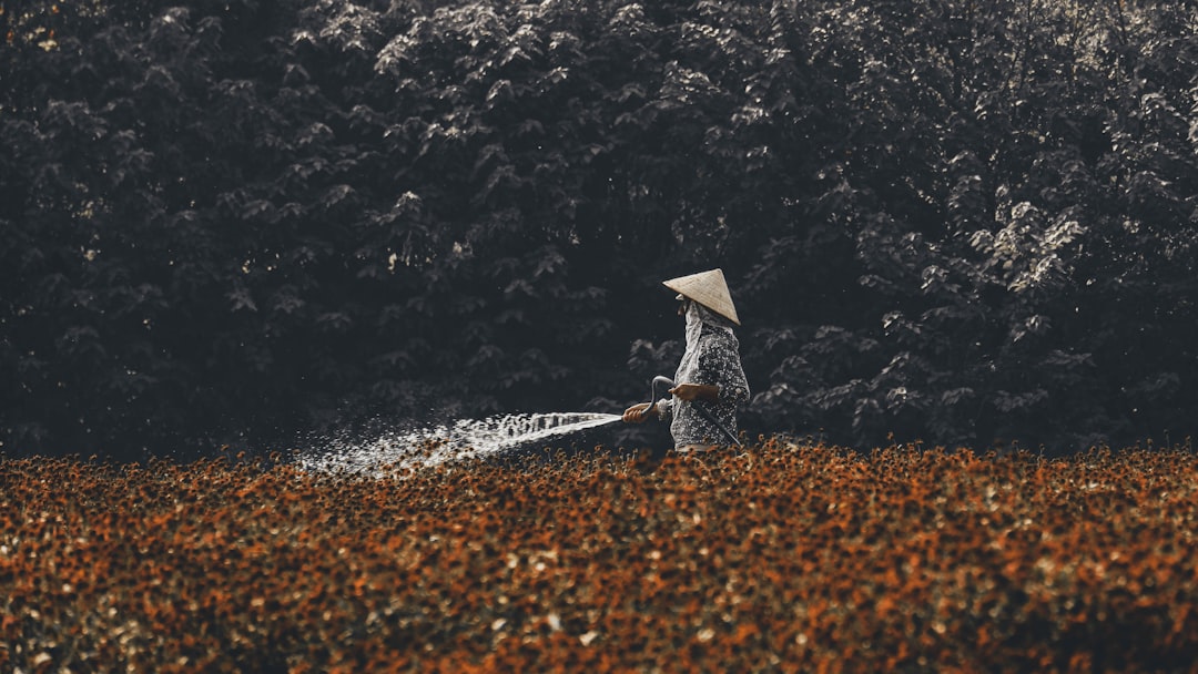 Yüksek Isıda Sebze Soteleme İçin Naturel Birinci - sebzeler soteleme
