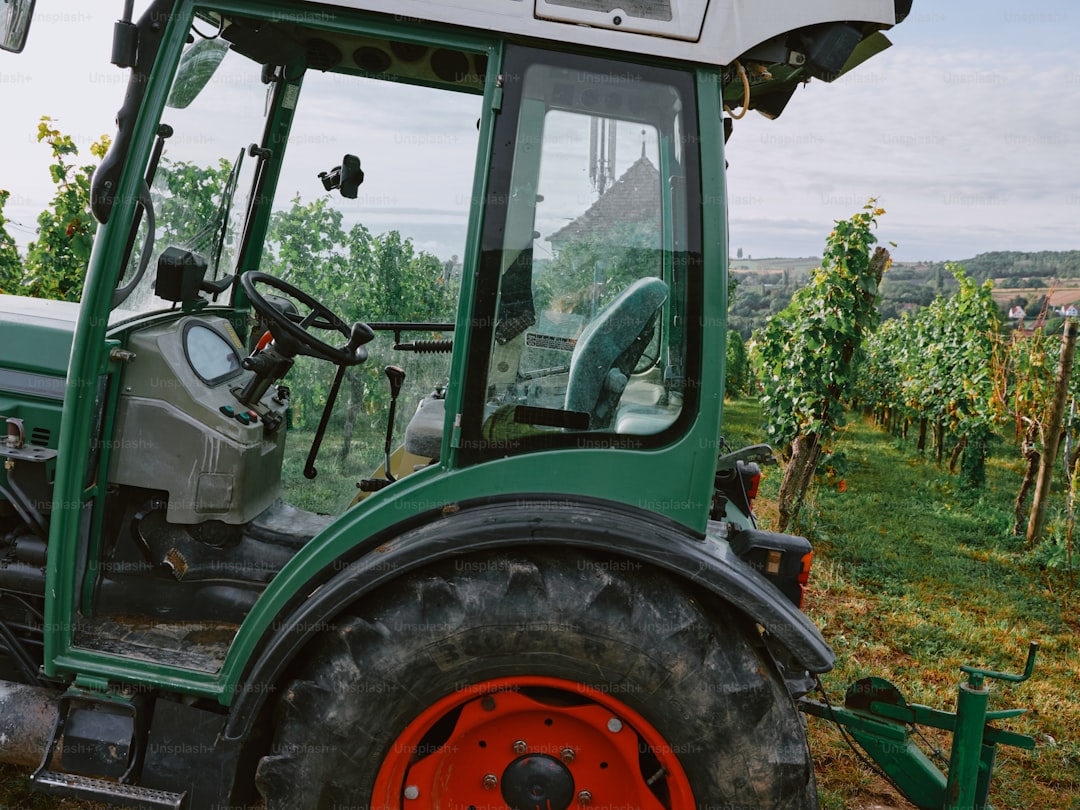 Zeytin Üretiminde Sürdürülebilir Uygulamalar