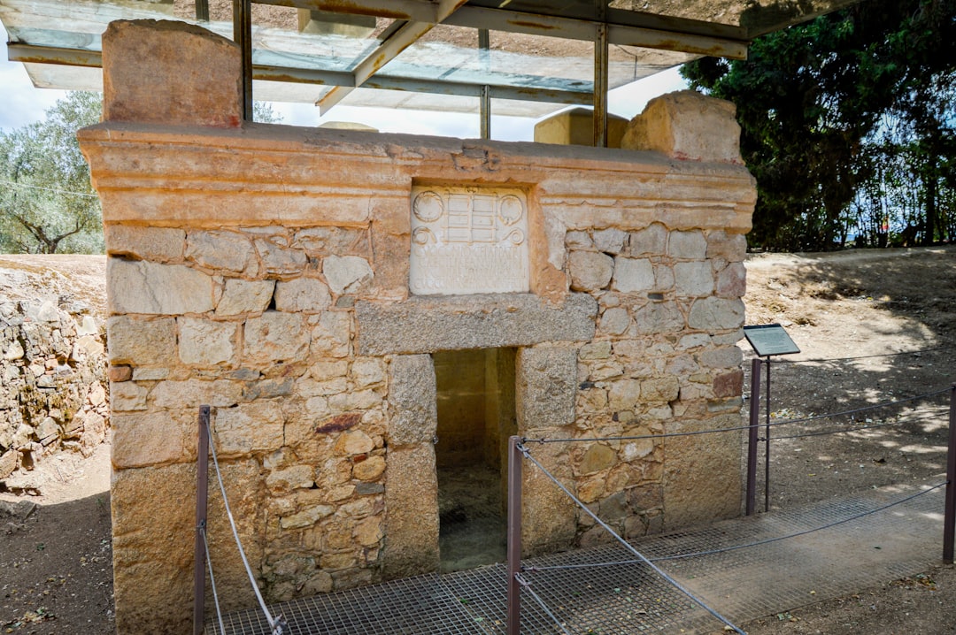 Zeytinyağı Çeşitleri: Geleneksel Taş Baskı ile Modern Yöntem - stone press