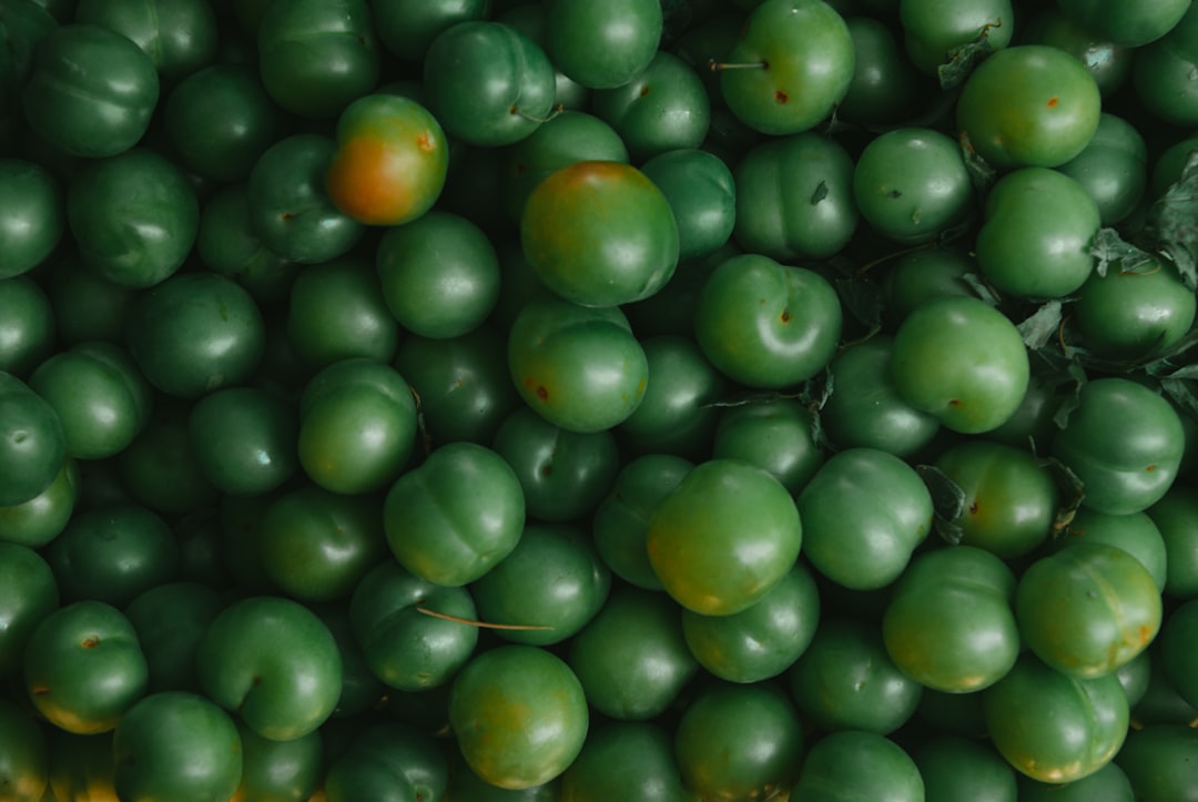 Zeytinyağlı Ürünlerde Sağlıklı Seçimler - olive salad